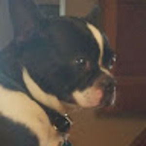 Meet your Posher, Grace